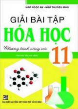 giai-bai-tap-hoa-hoc-11-chuong-trinh-nang-cao-